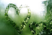 今天有男篮视频直播吗？都有哪些精彩看点？